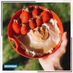 بشقاب سفری فرانسوی اورجینال Decathlon کچوا - Image 6