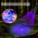 چراغ قوه UV مدل 100 LEDs - Image 4